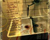 id020_backcover_klein.jpg