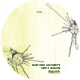 id025_cdlabel_klein_a.gif
