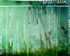id036bonus_backcover_klein.jpg