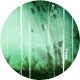 id036bonus_cdlabel_klein.gif