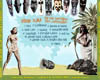 id051_backcover_klein.jpg
